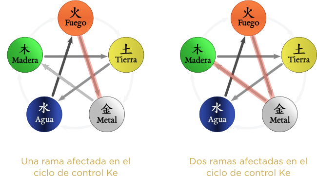 AE afectando 1 y 2 ramas