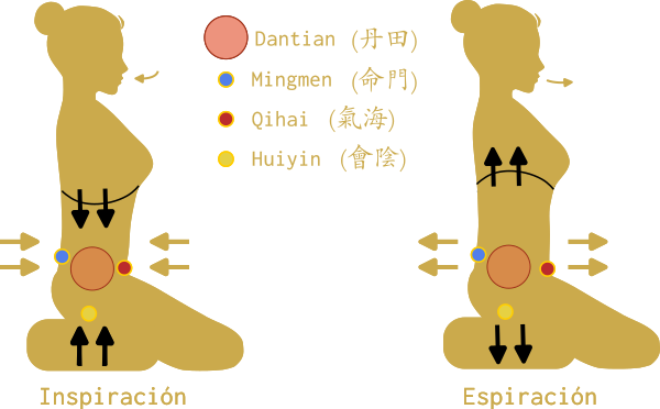 Respiración diafragmática inversa
