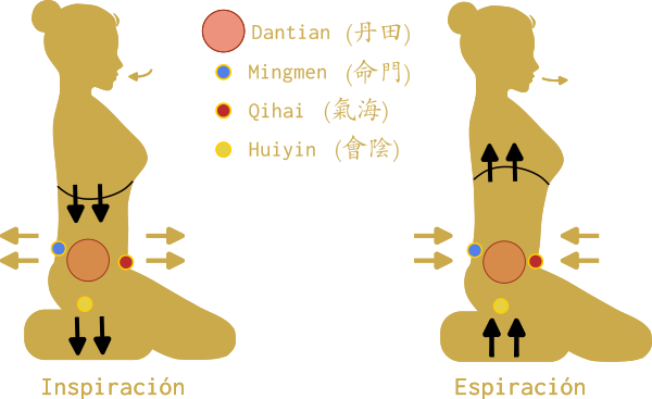 Respiración diafragmática natural