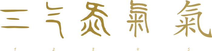 Evolución del hanzi Qi