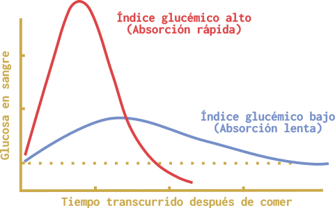 Gráfico que muestra la curva del índice glucemico en alimentos con alto y bajo I.G.