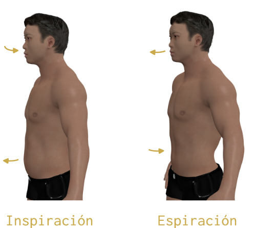 Inspiración y expiración