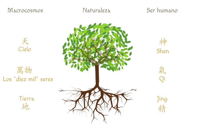Macrocosmos, árbol y Sanbao