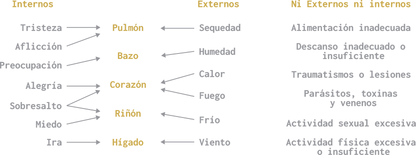 Origen de enfermedad: Interno, Externo, ni Interno ni Externo