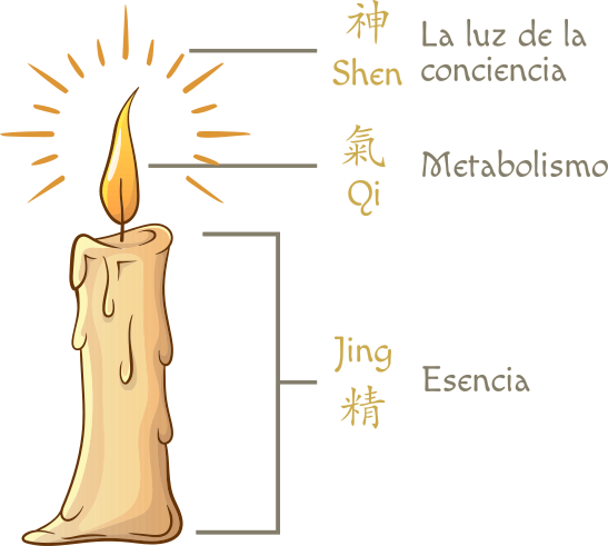 Los tres tesoros (sanbao)