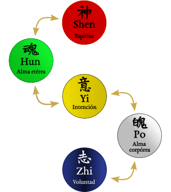 Cinco Espíritus - Tierra como pivote de Hun - Po y Shen - Zhi